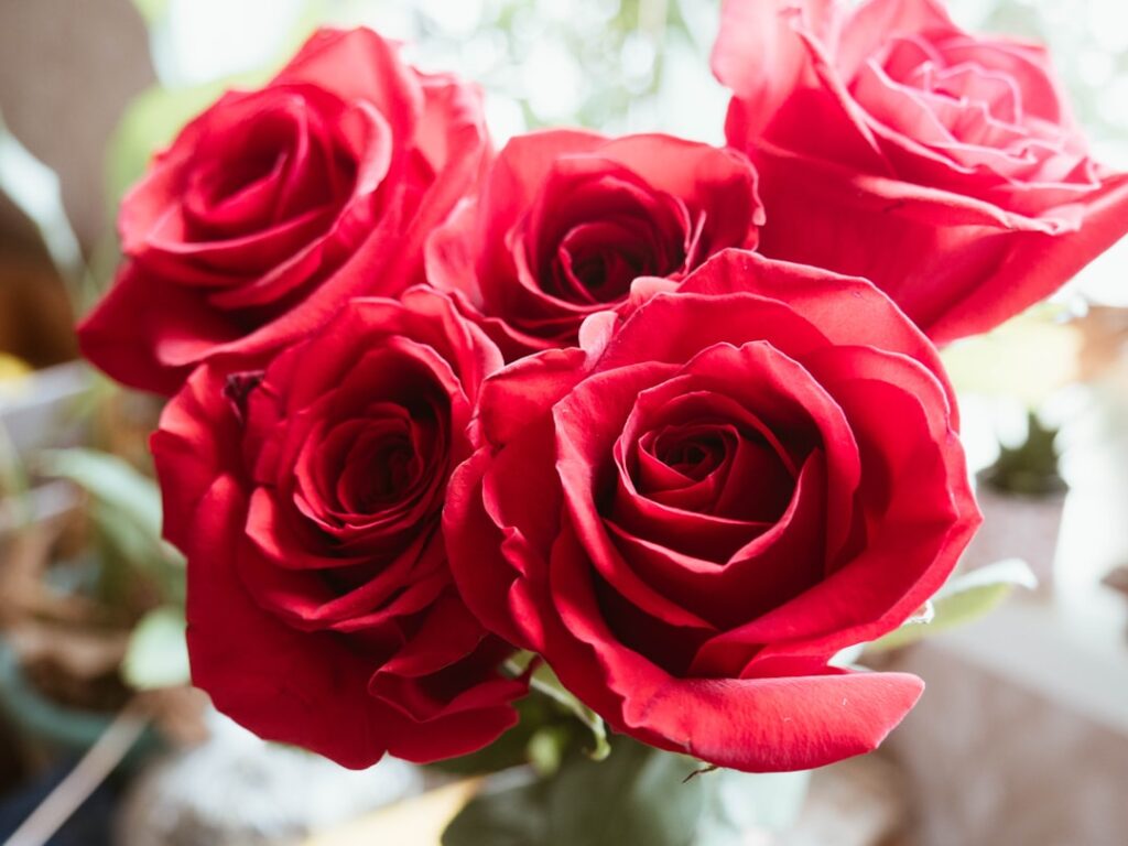 next day roses delivery